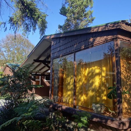 Silvestre Cabanas Puerto Varas Exteriör bild
